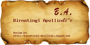 Birnstingl Apollinár névjegykártya